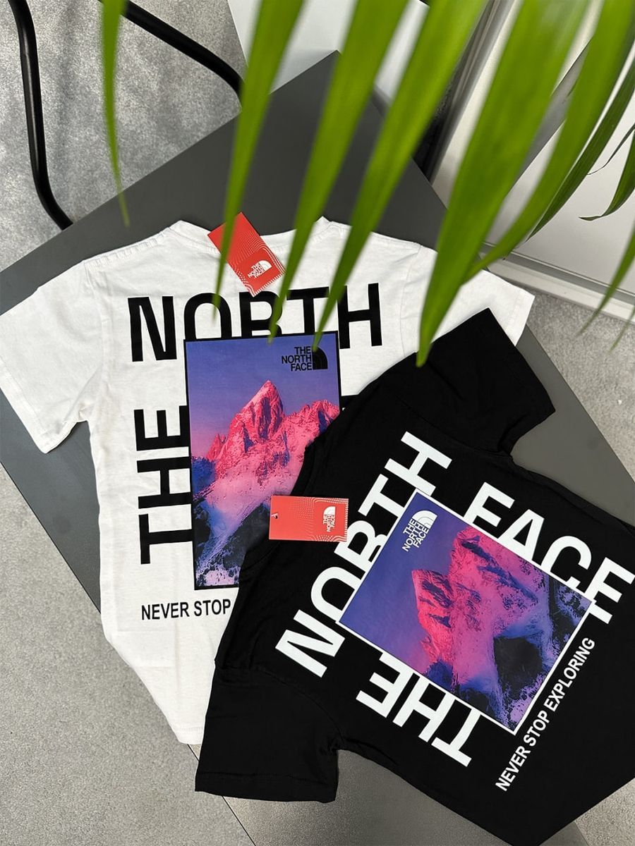 Футболка THE NORTH FACE Purple Mountains tntxsbpm фото