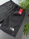 Шорти THE NORTH FACE MINI LOGO NYLON tntsxsbnml фото 2