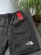 Шорти THE NORTH FACE MINI LOGO NYLON tntsxsbnml фото 4