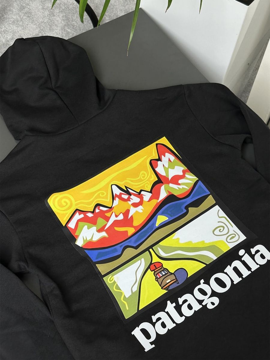 Худі PATAGONIA Retro Road pghxsbrr фото