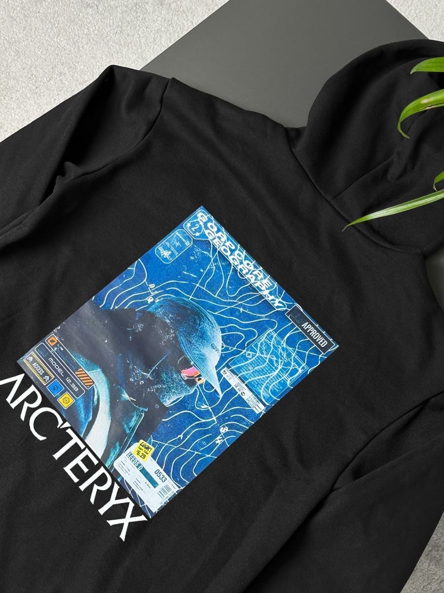 Худі ARCTERYX Gorpcore arhxsbg фото