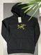 Худі ARCTERYX x PALACE Hood Black arbxsbaxph фото 2