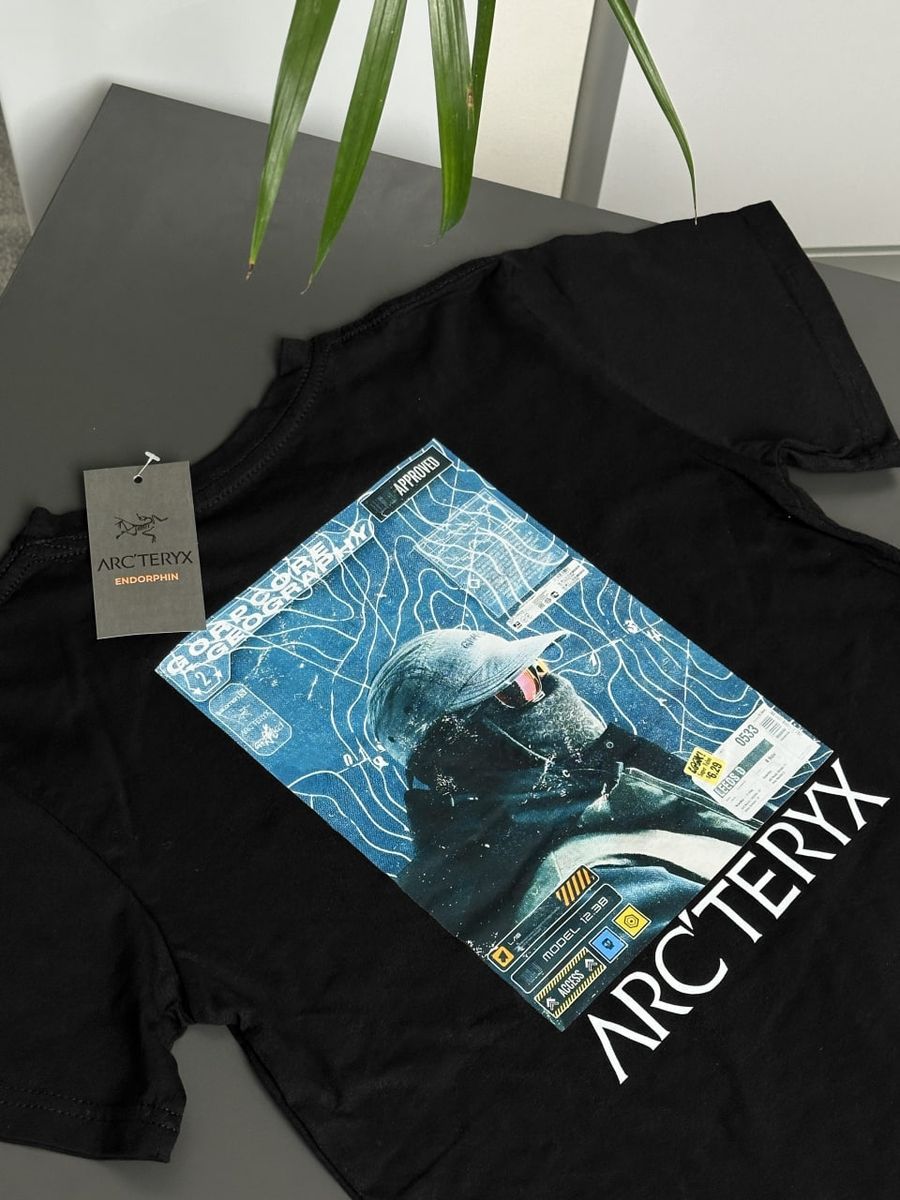 Футболка ARCTERYX Gorpcore artxsbg фото