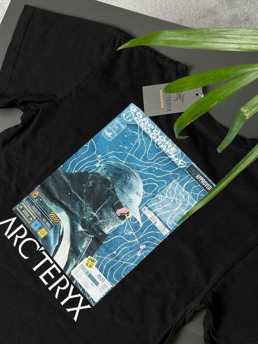 Футболка ARCTERYX Gorpcore artxsbg фото