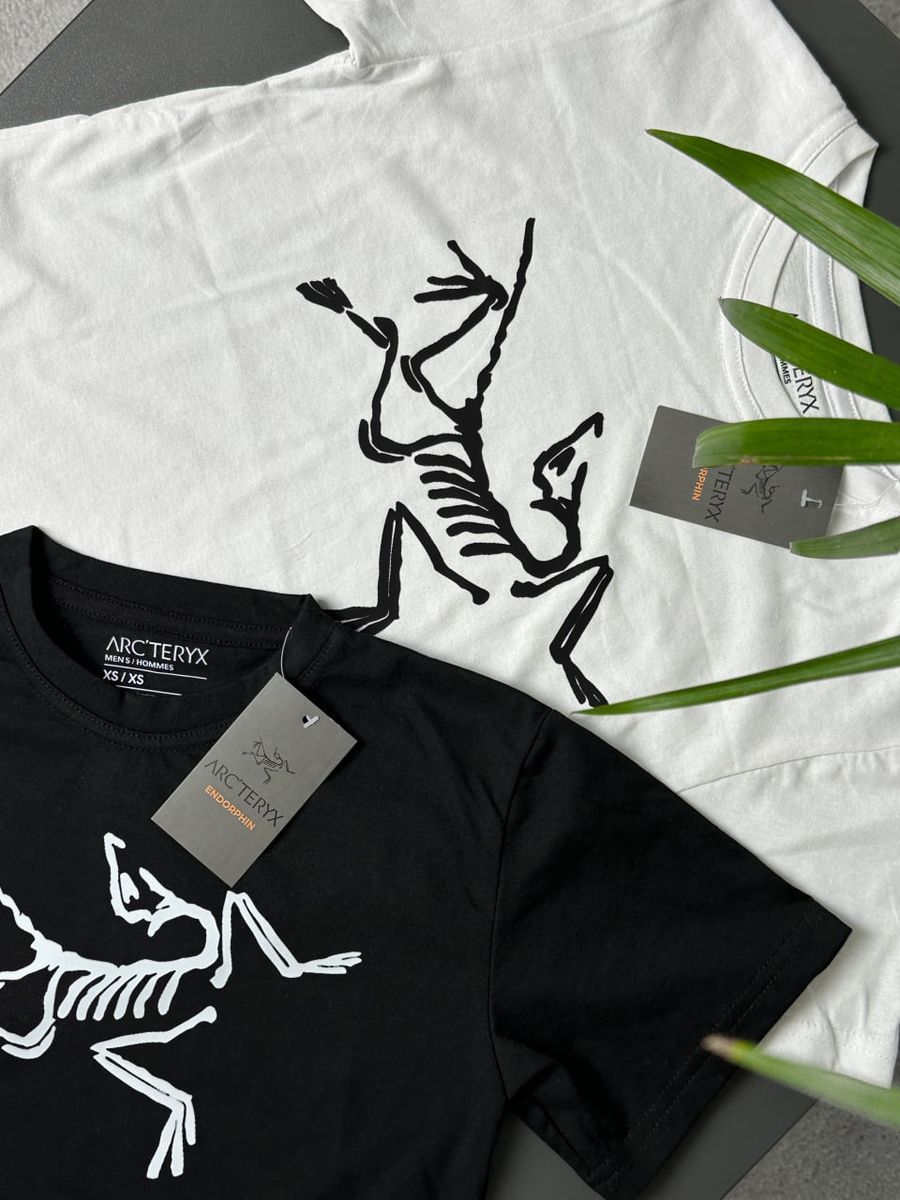 Футболка ARCTERYX Big Logo artxsbbl фото