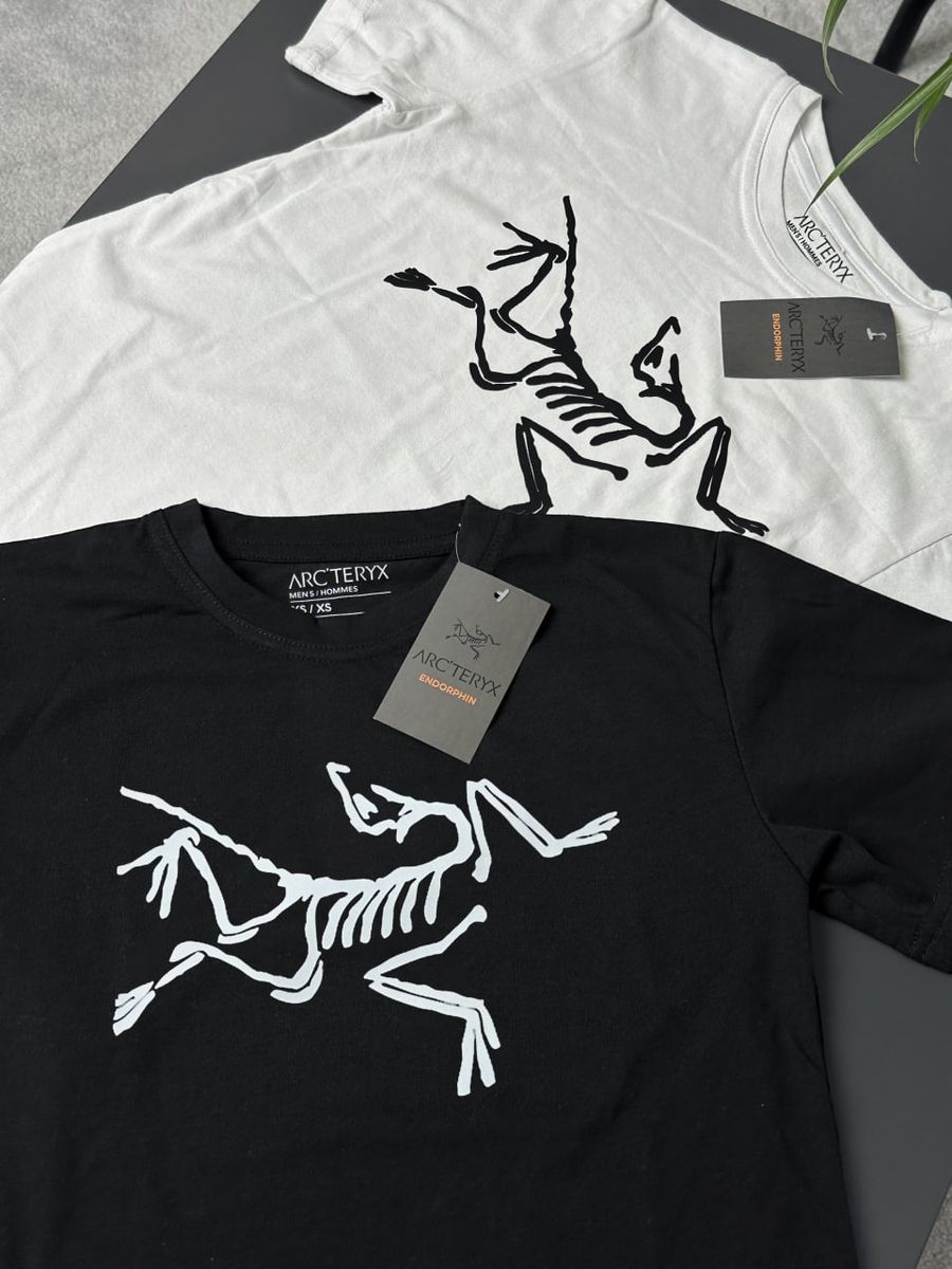 Футболка ARCTERYX Big Logo artxsbbl фото