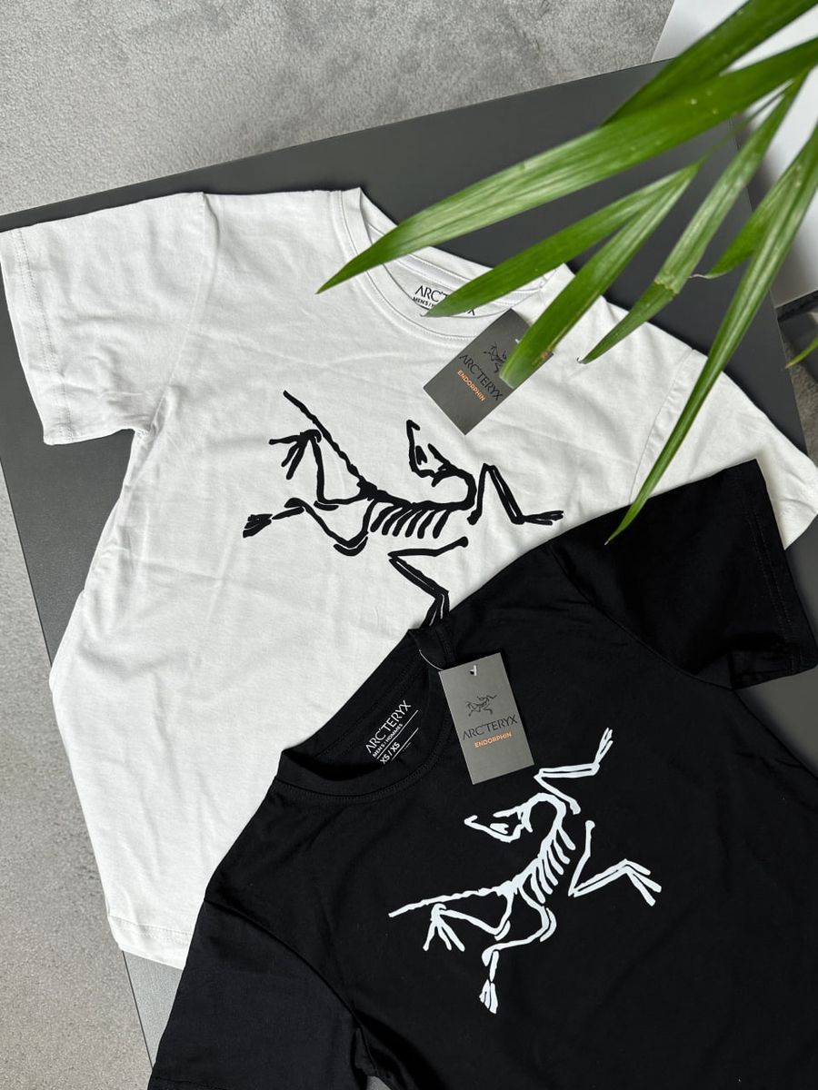 Футболка ARCTERYX Big Logo artxsbbl фото