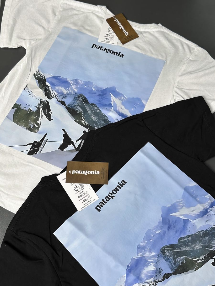 Футболка PATAGONIA Everest pgtxsbe фото