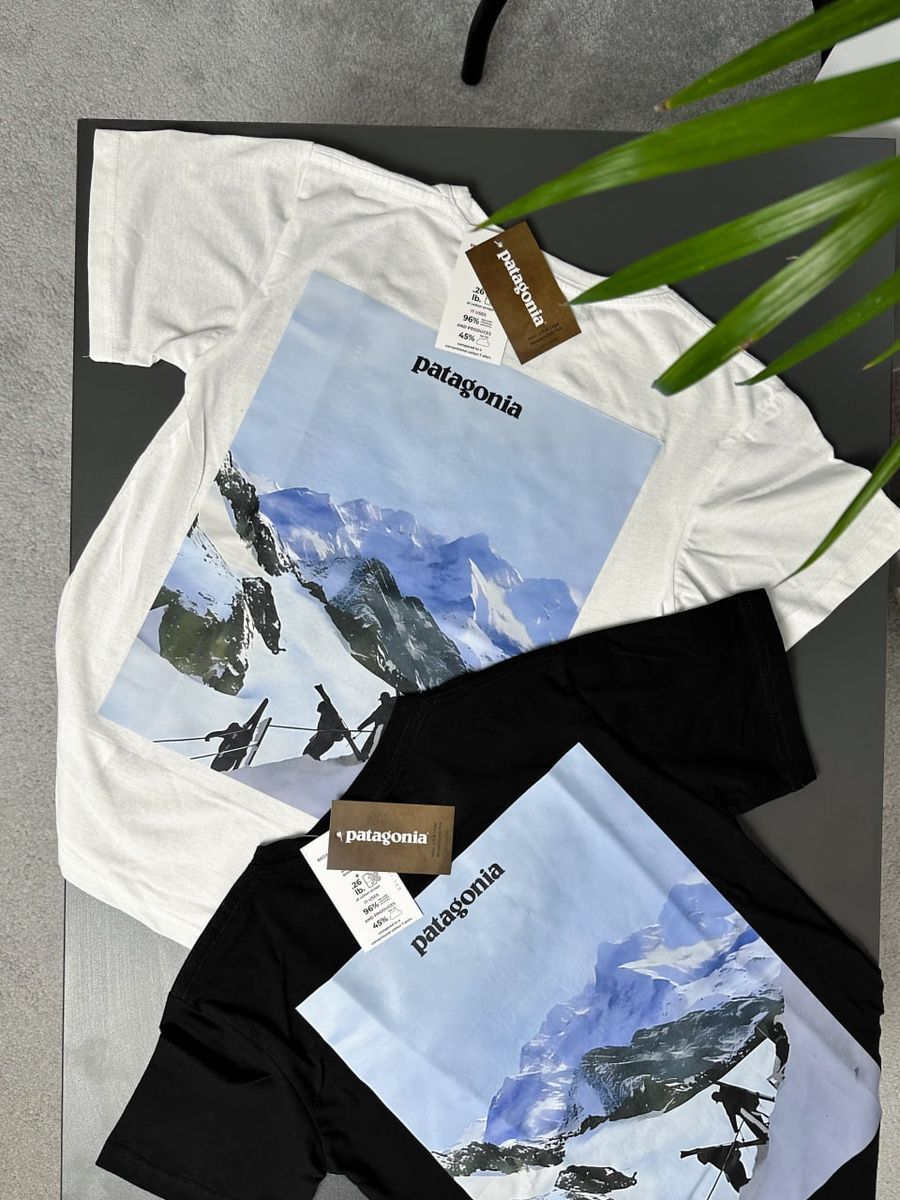 Футболка PATAGONIA Everest pgtxsbe фото