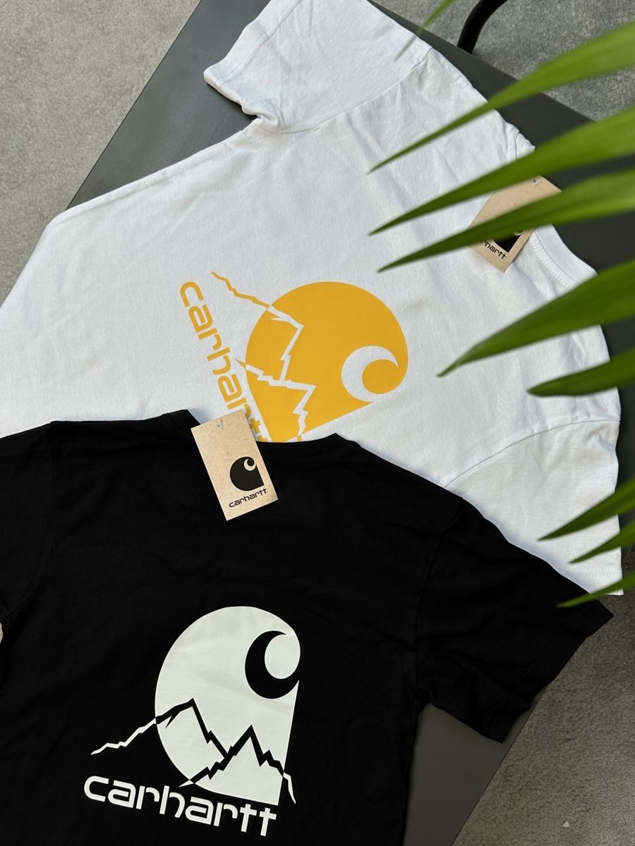 Футболка CARHARTT Skies chtxsbmc фото