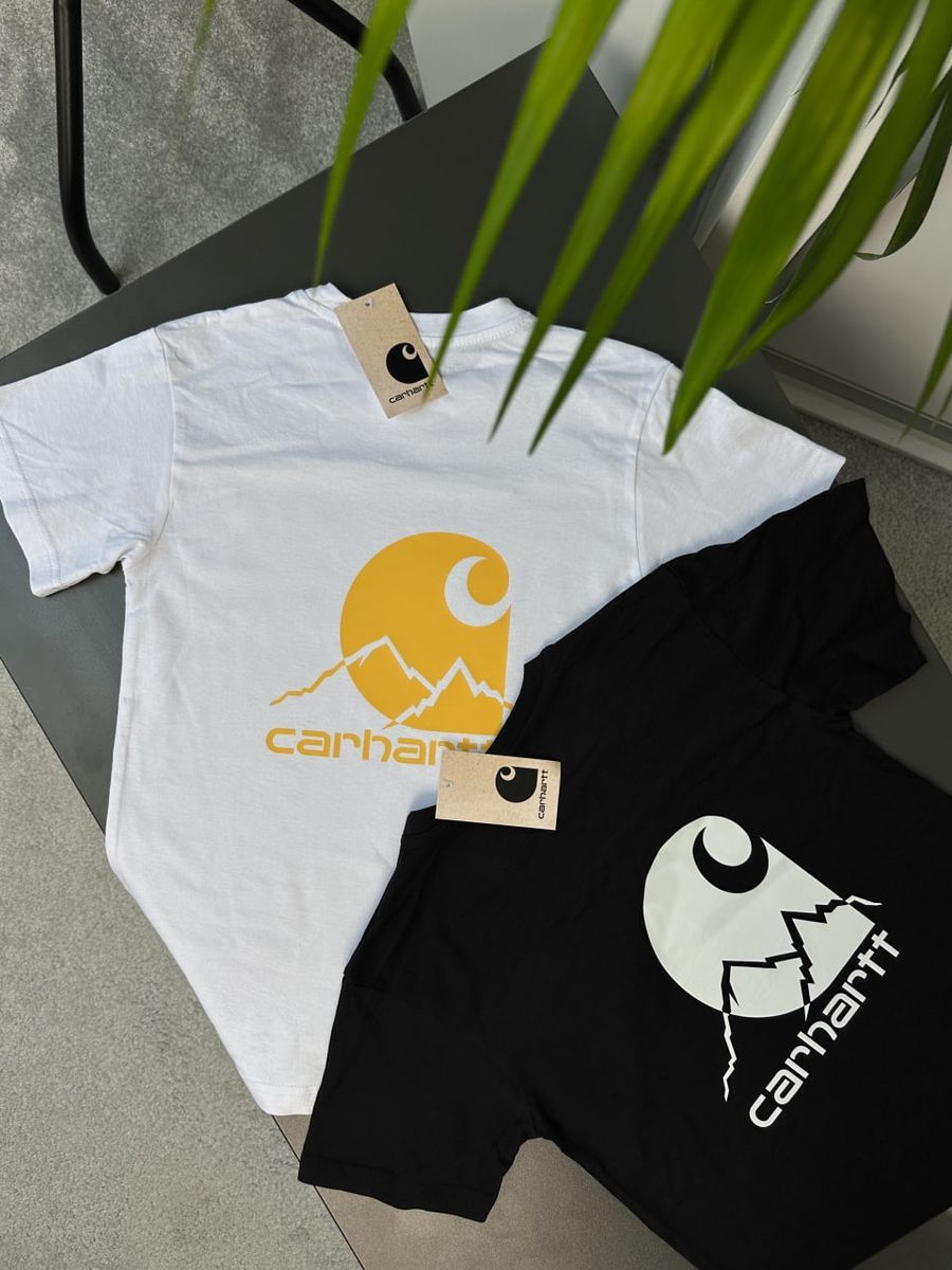 Футболка CARHARTT Skies chtxsbmc фото