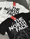 Футболка THE NORTH FACE Mountains tntxsbm фото 4