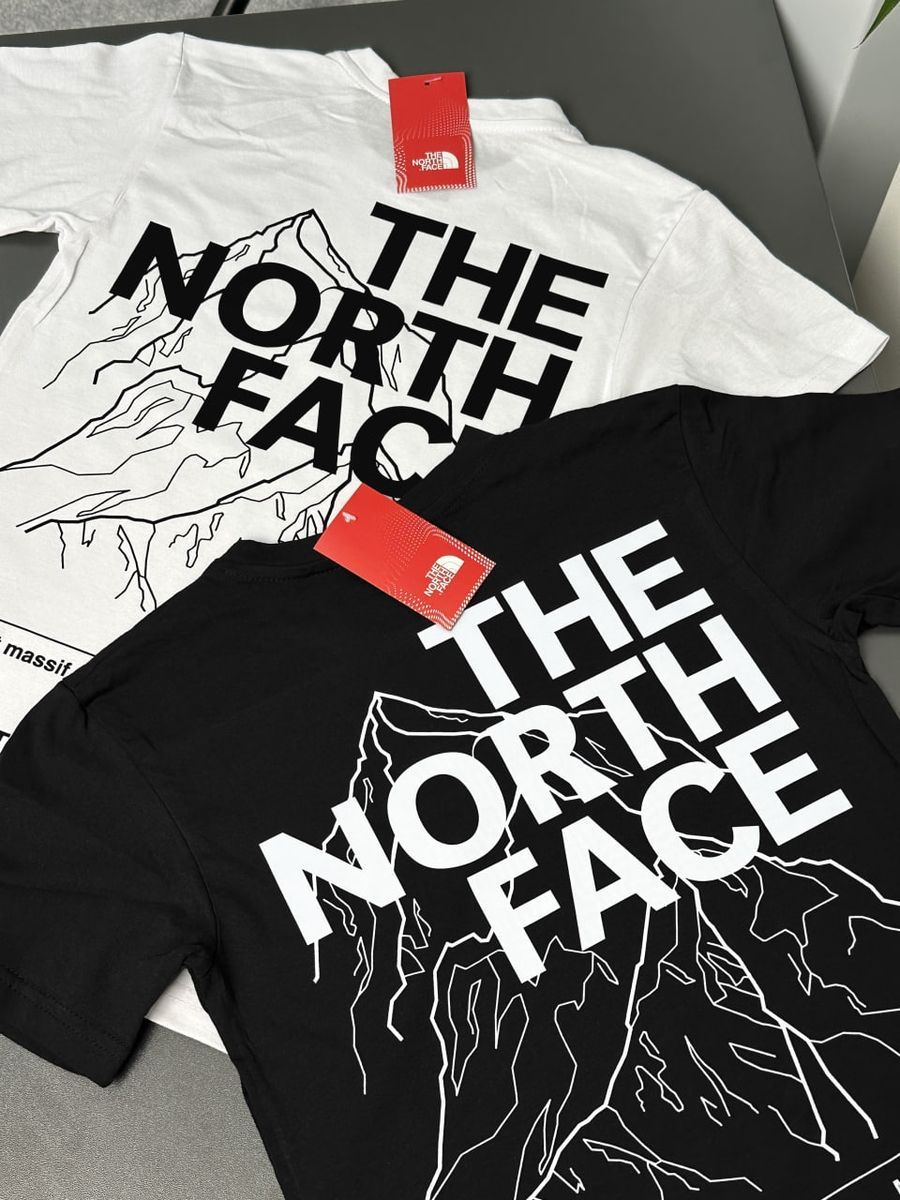 Футболка THE NORTH FACE Mountains tntxsbm фото