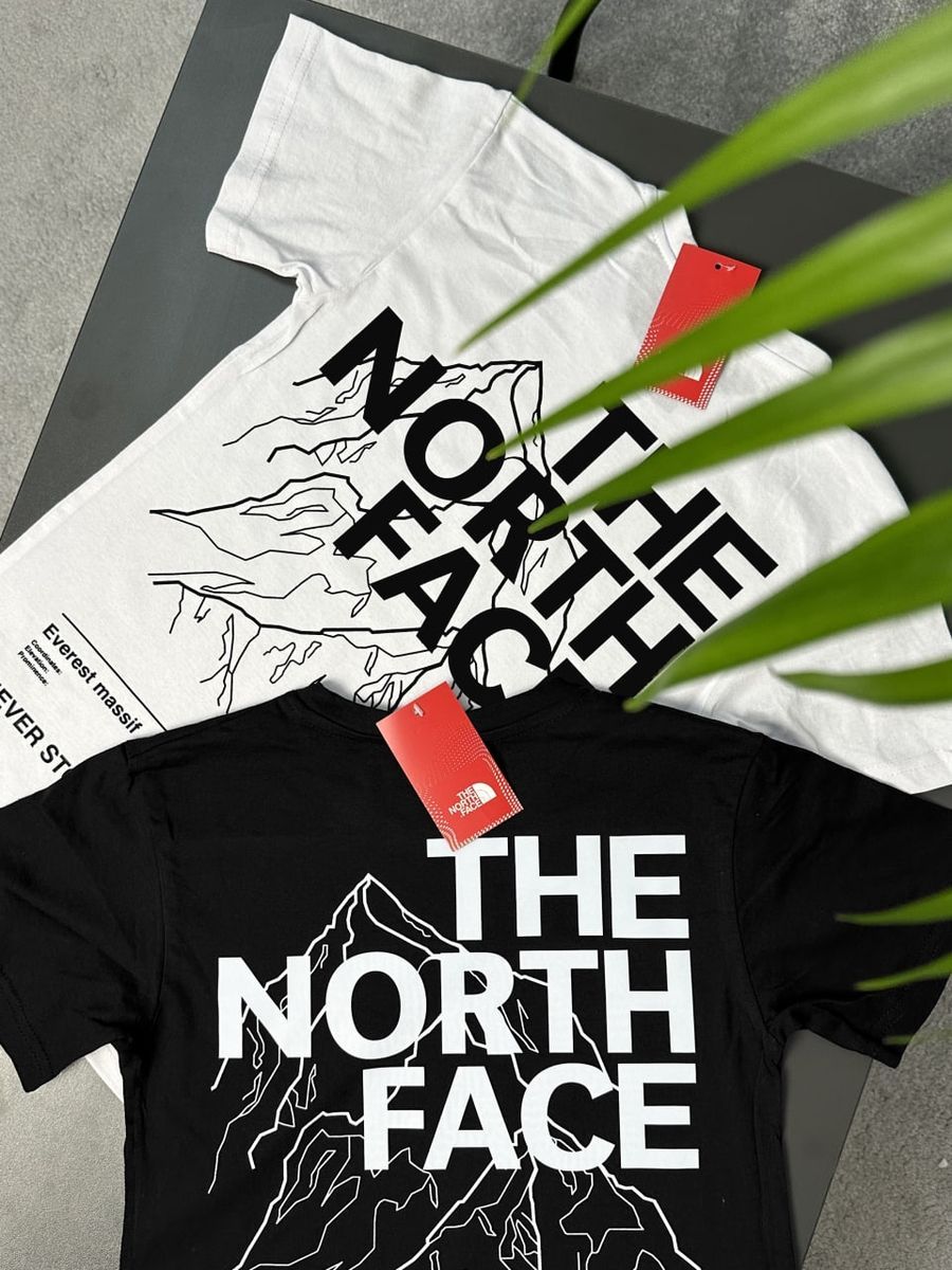 Футболка THE NORTH FACE Mountains tntxsbm фото