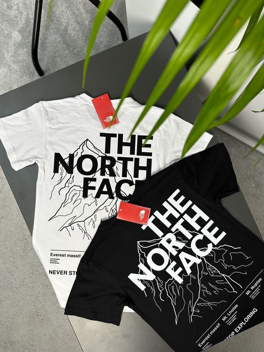 Футболка THE NORTH FACE Mountains tntxsbm фото