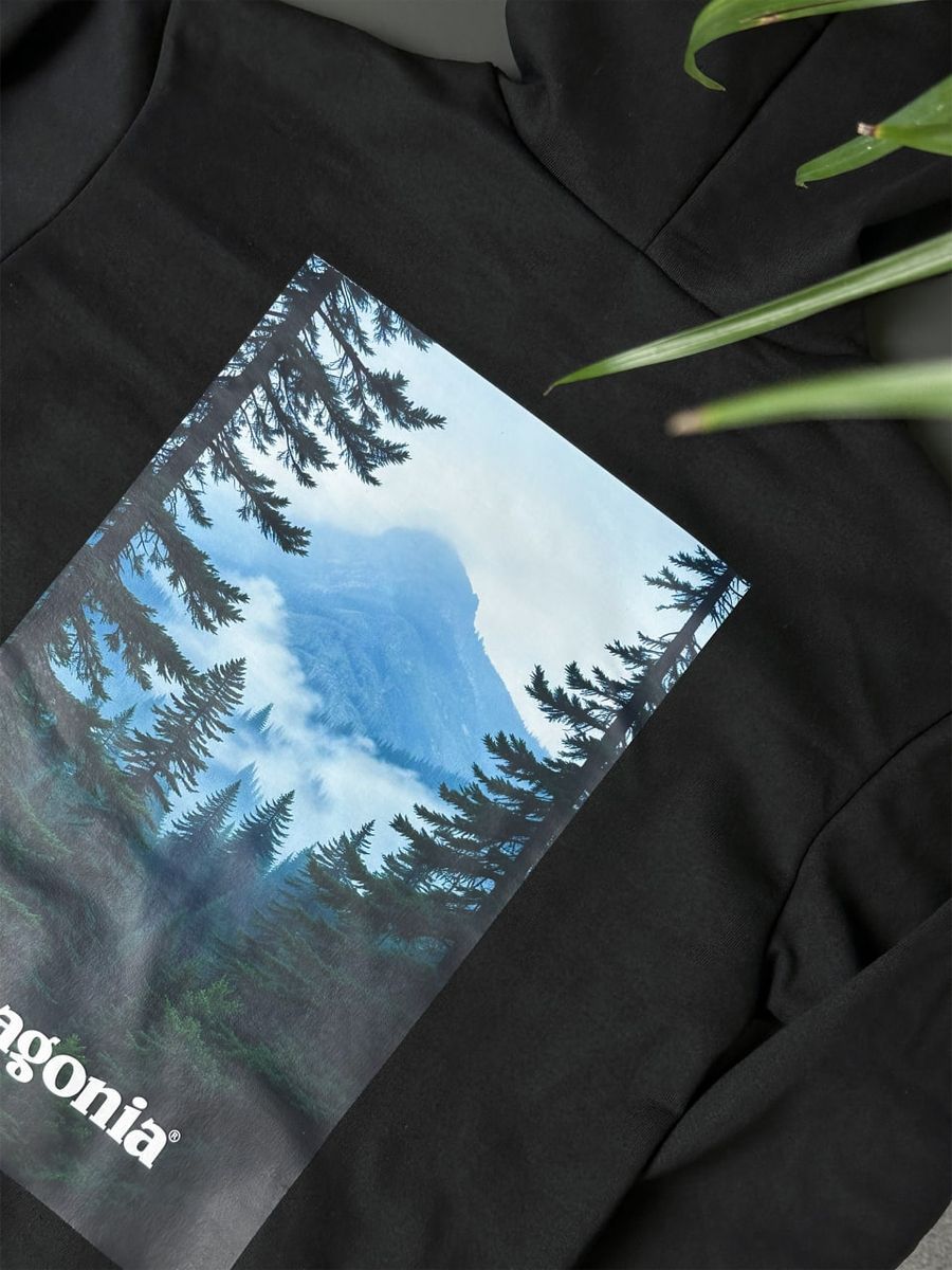 Худі PATAGONIA Forest pghxsbfrst фото