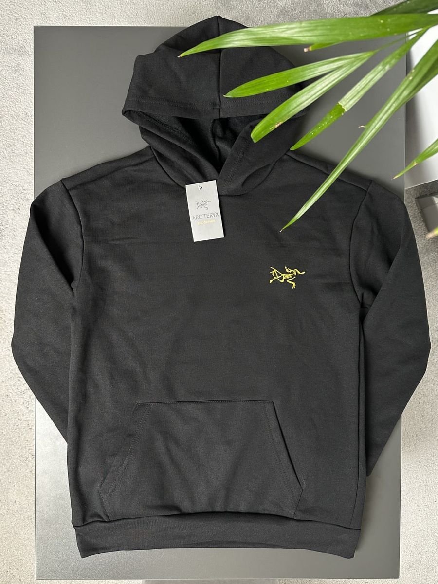 Худі ARCTERYX MultiBird arhxsbm фото