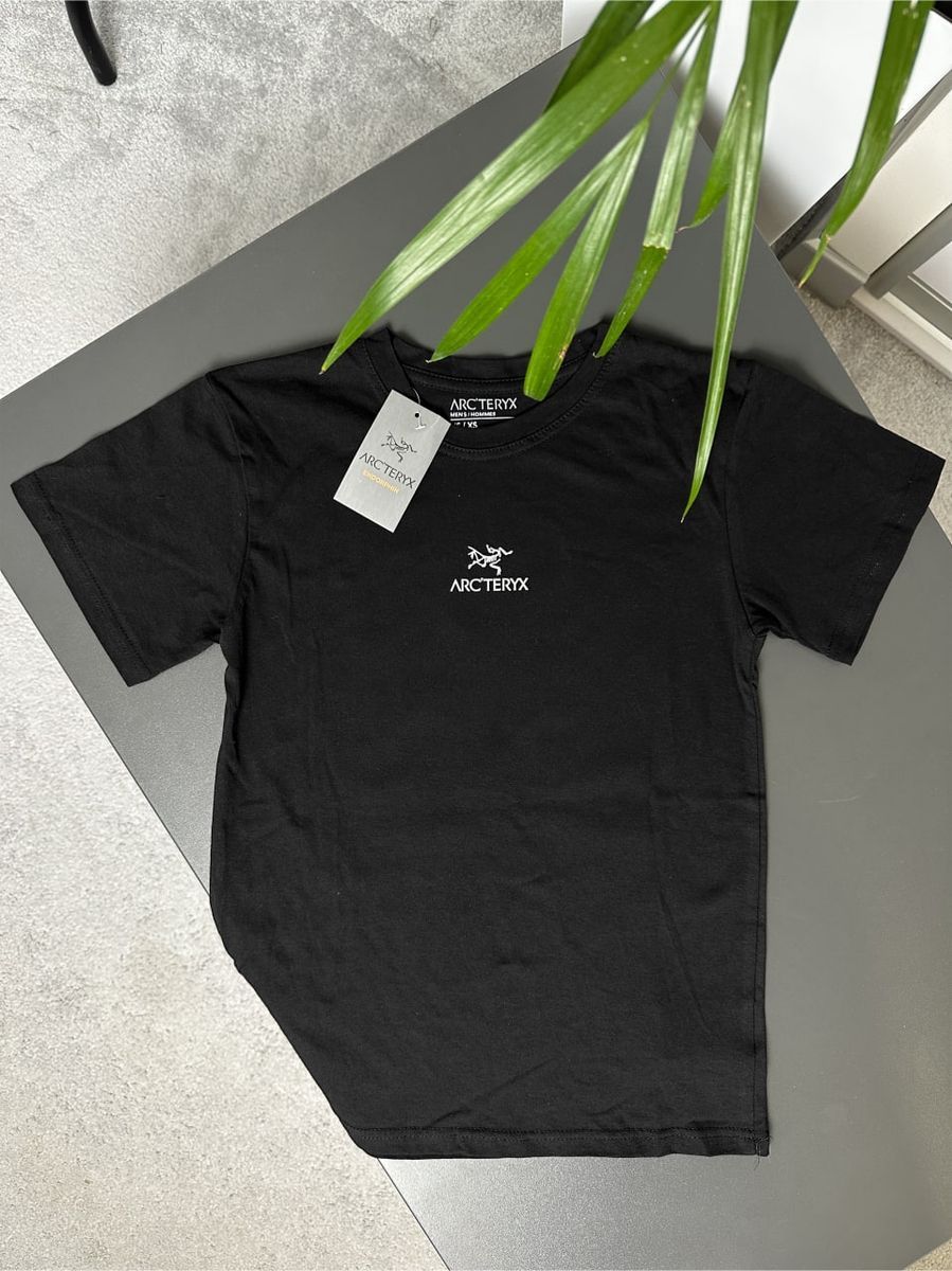 Футболка ARCTERYX Orange Mountains artxsbo фото