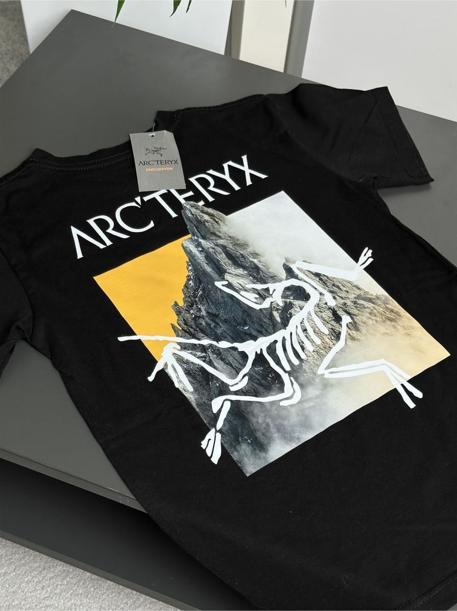 Футболка ARCTERYX Orange Mountains artxsbo фото