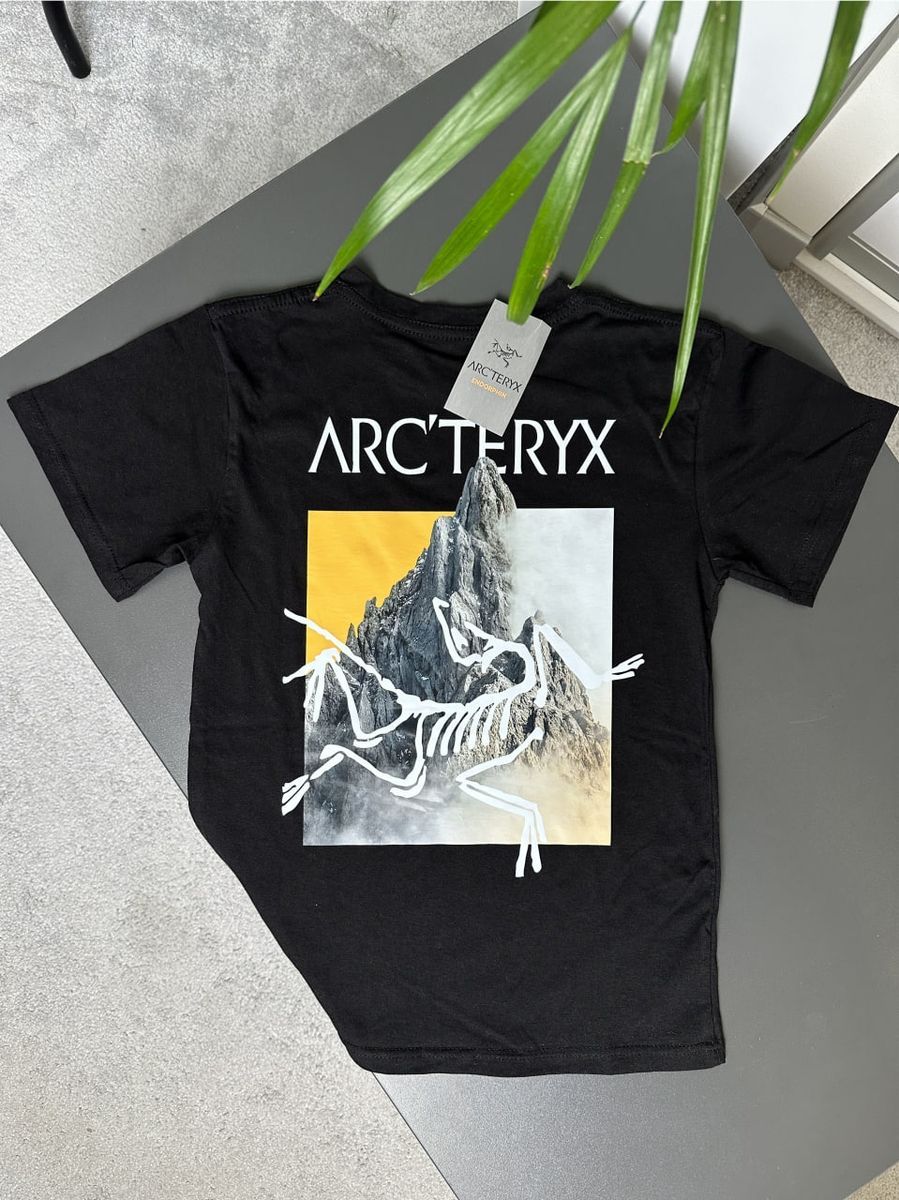 Футболка ARCTERYX Orange Mountains artxsbo фото