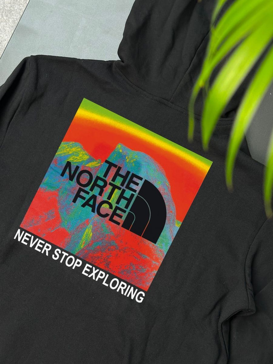 Худі THE NORTH FACE MultiColor tnhxsbr фото