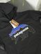 Худі PATAGONIA Bear pghxsbbear фото 3