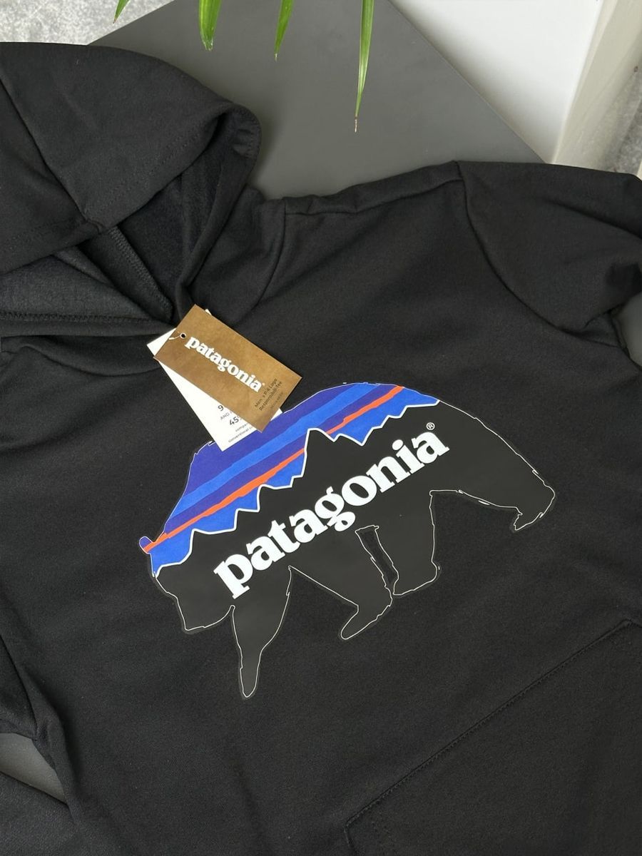 Худі PATAGONIA Bear pghxsbbear фото