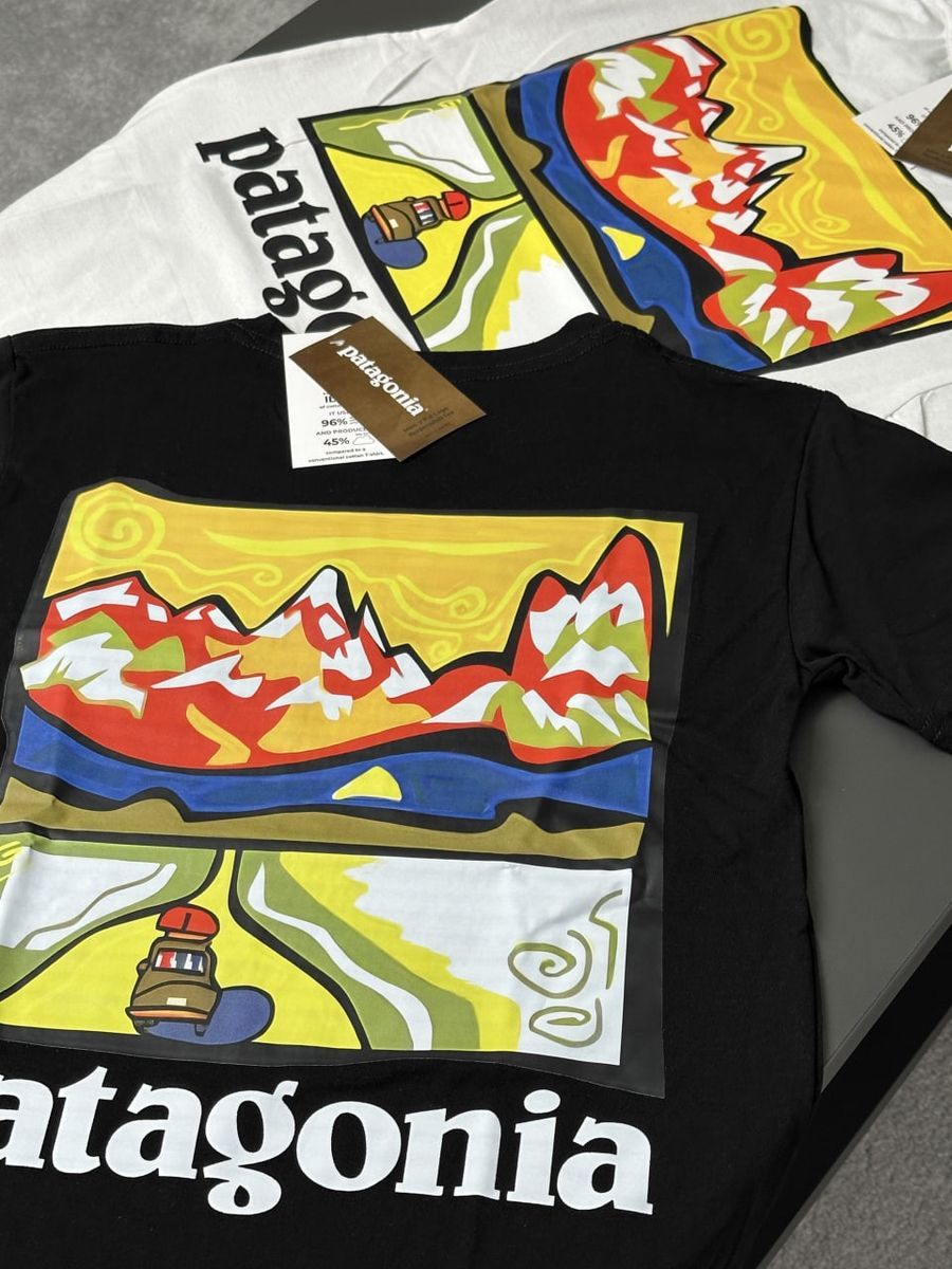 Футболка PATAGONIA Retro Road pgtxsbrr фото