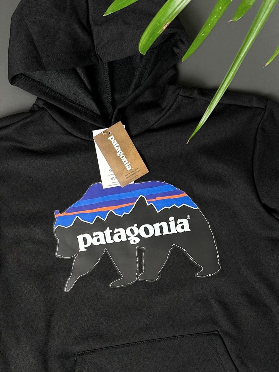 Худі PATAGONIA Bear pghxsbbear фото