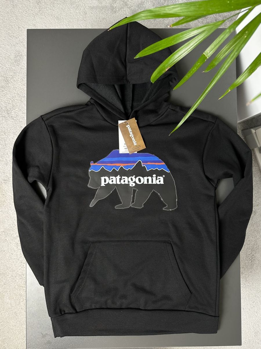 Худі PATAGONIA Bear pghxsbbear фото