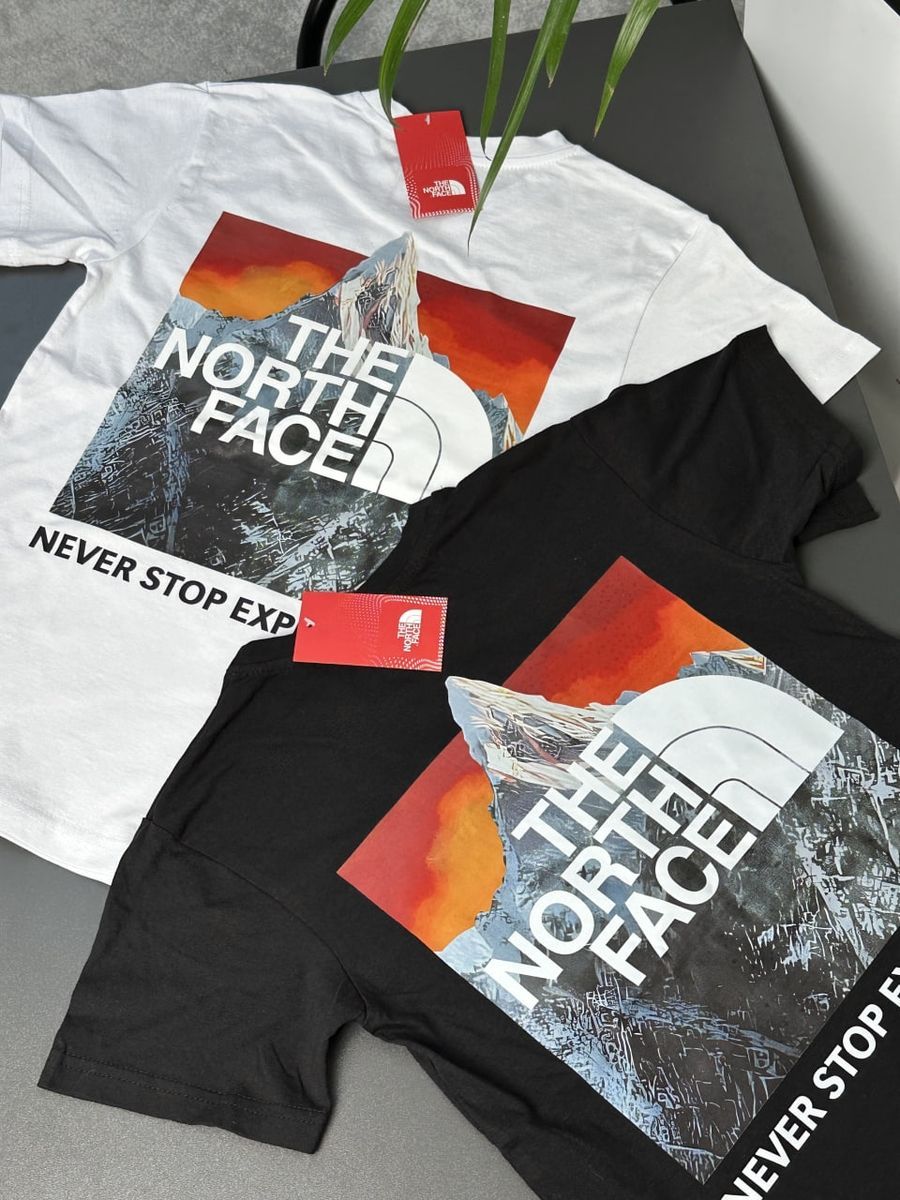 Футболка THE NORTH FACE OrangeBox tntxsborbx фото