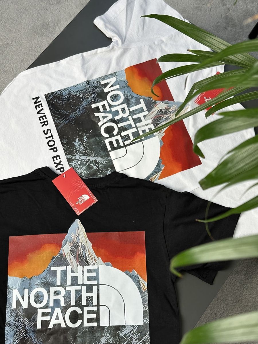 Футболка THE NORTH FACE OrangeBox tntxsborbx фото