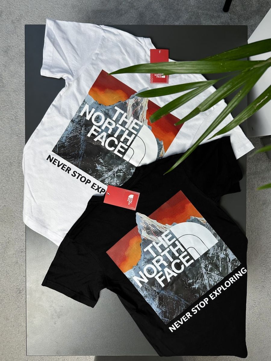 Футболка THE NORTH FACE OrangeBox tntxsborbx фото