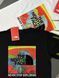 Футболка THE NORTH FACE MultiColor tntxsbr фото 3