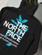Худі THE NORTH FACE Blue Leaves tnhxsbb фото 3