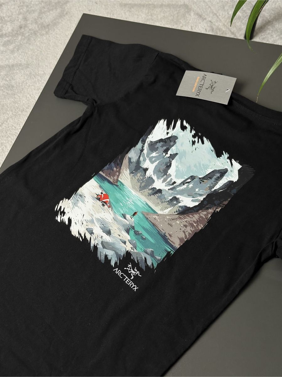 Футболка ARCTERYX Mountain Lake artxsbmtl фото