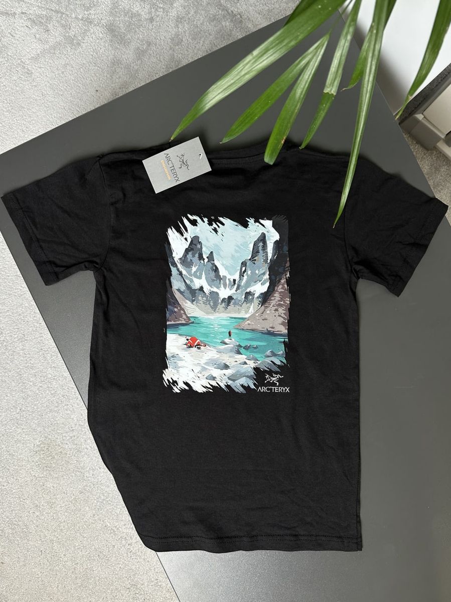 Футболка ARCTERYX Mountain Lake artxsbmtl фото