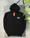 Худі THE NORTH FACE Coordinates tnhxsbcr фото 2
