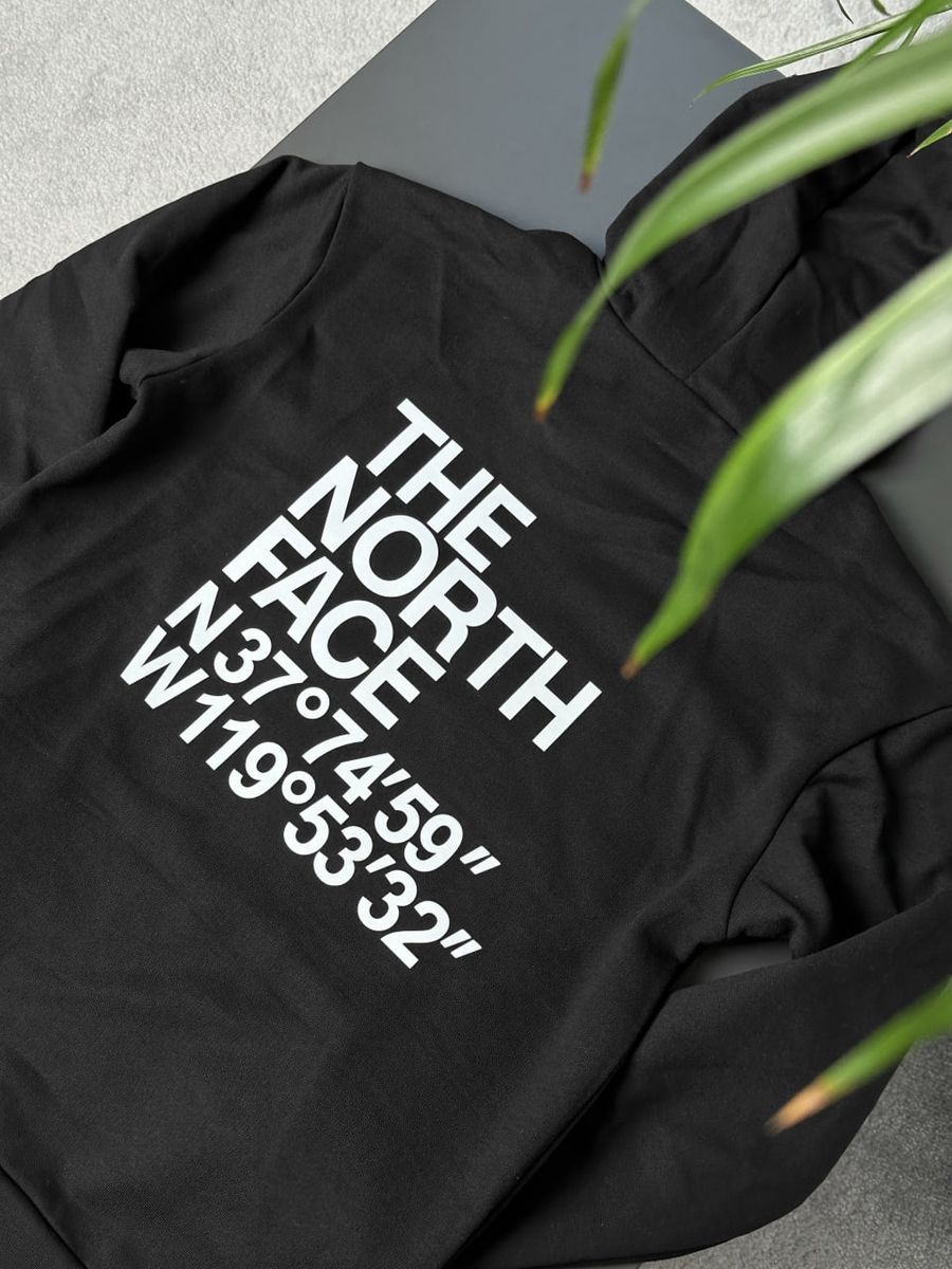 Худі THE NORTH FACE Coordinates tnhxsbcr фото