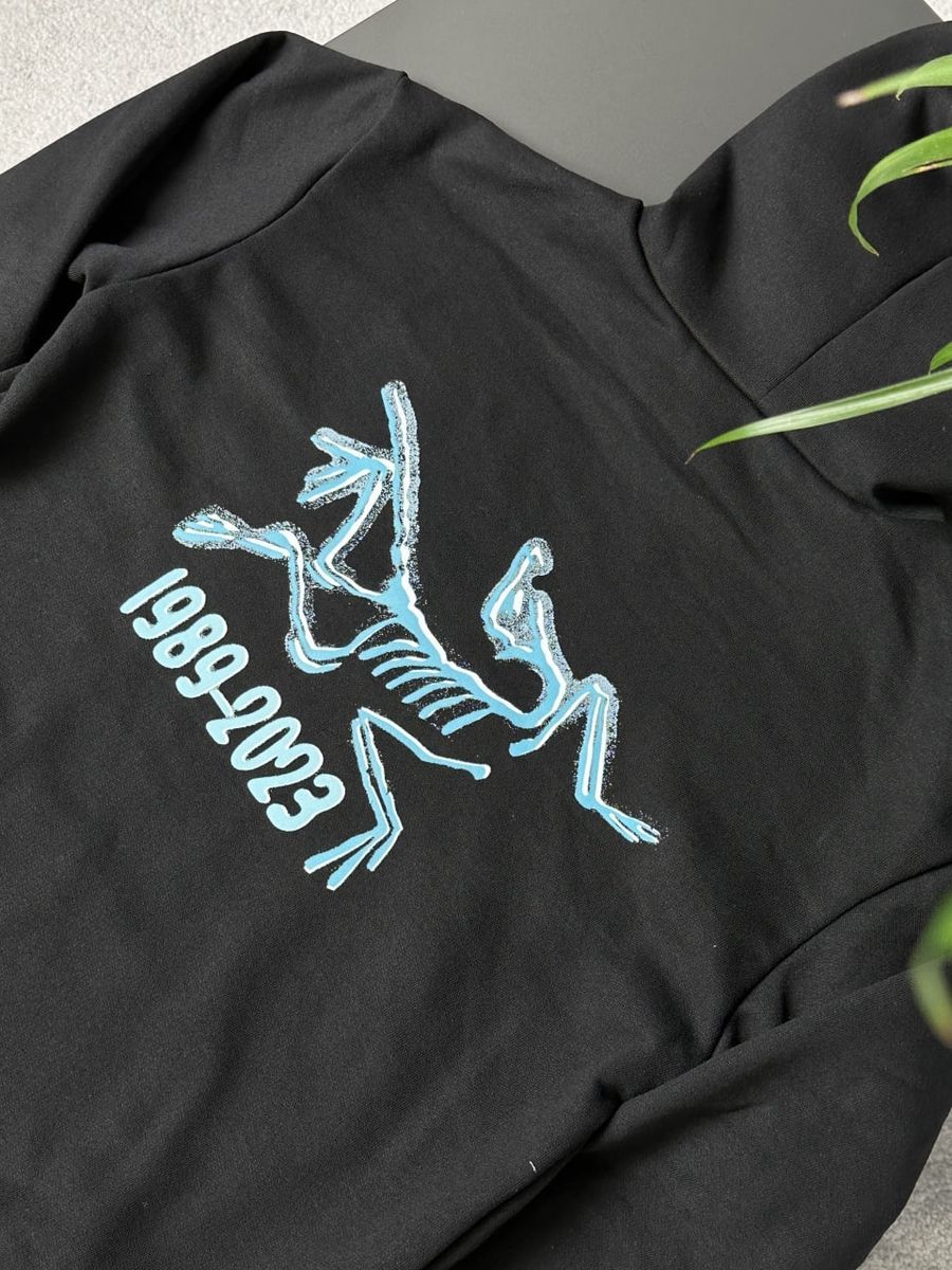 Худі ARCTERYX 1989 arbxsb1989 фото