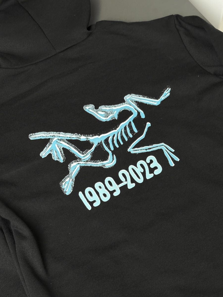 Худі ARCTERYX 1989 arbxsb1989 фото