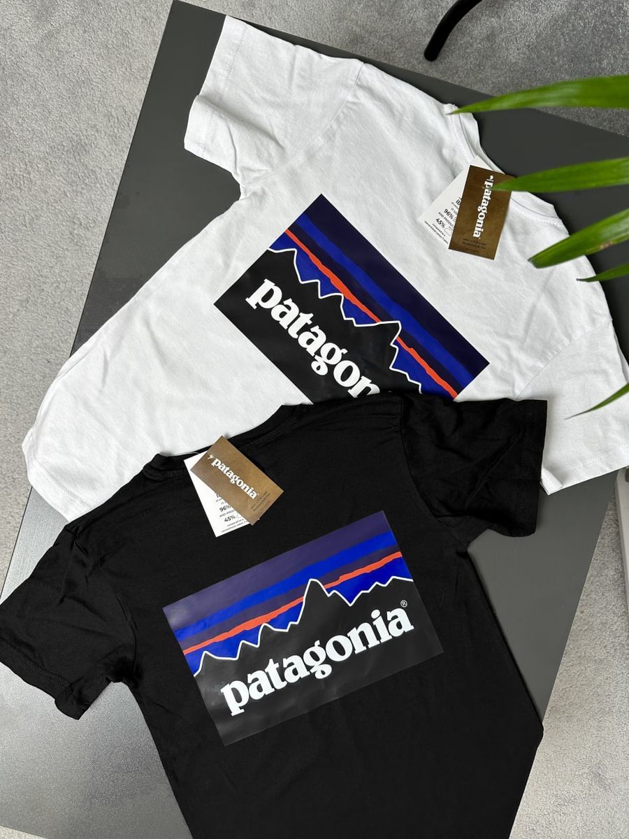 Футболка PATAGONIA Responsibili pgtxsbr фото