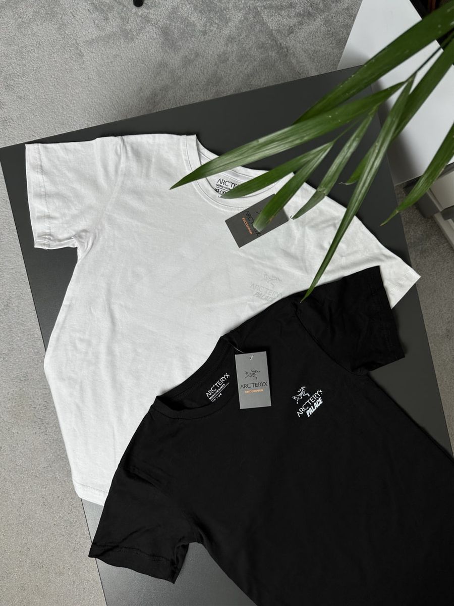 Футболка ARCTERYX x PALACE artxsbndl фото