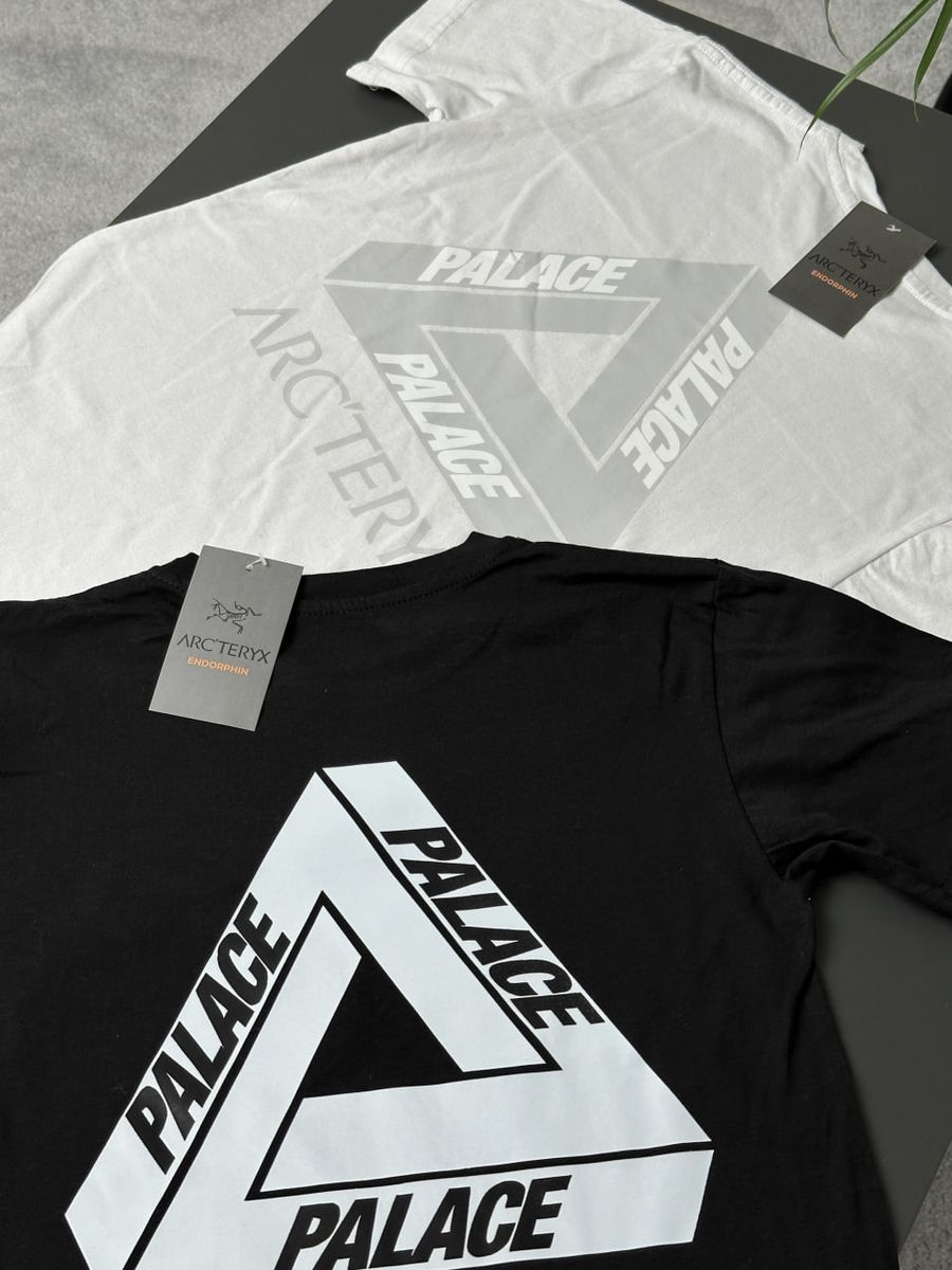 Футболка ARCTERYX x PALACE artxsbndl фото