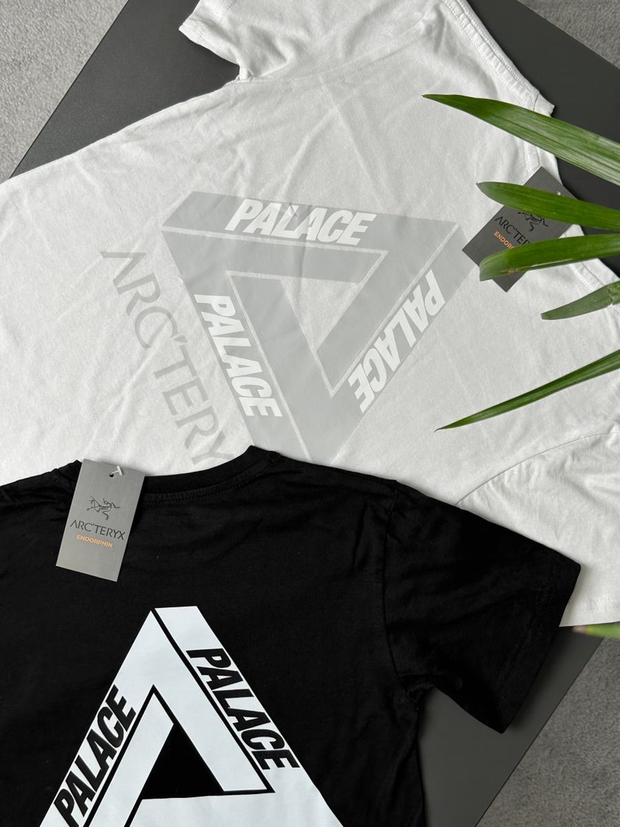 Футболка ARCTERYX x PALACE artxsbndl фото