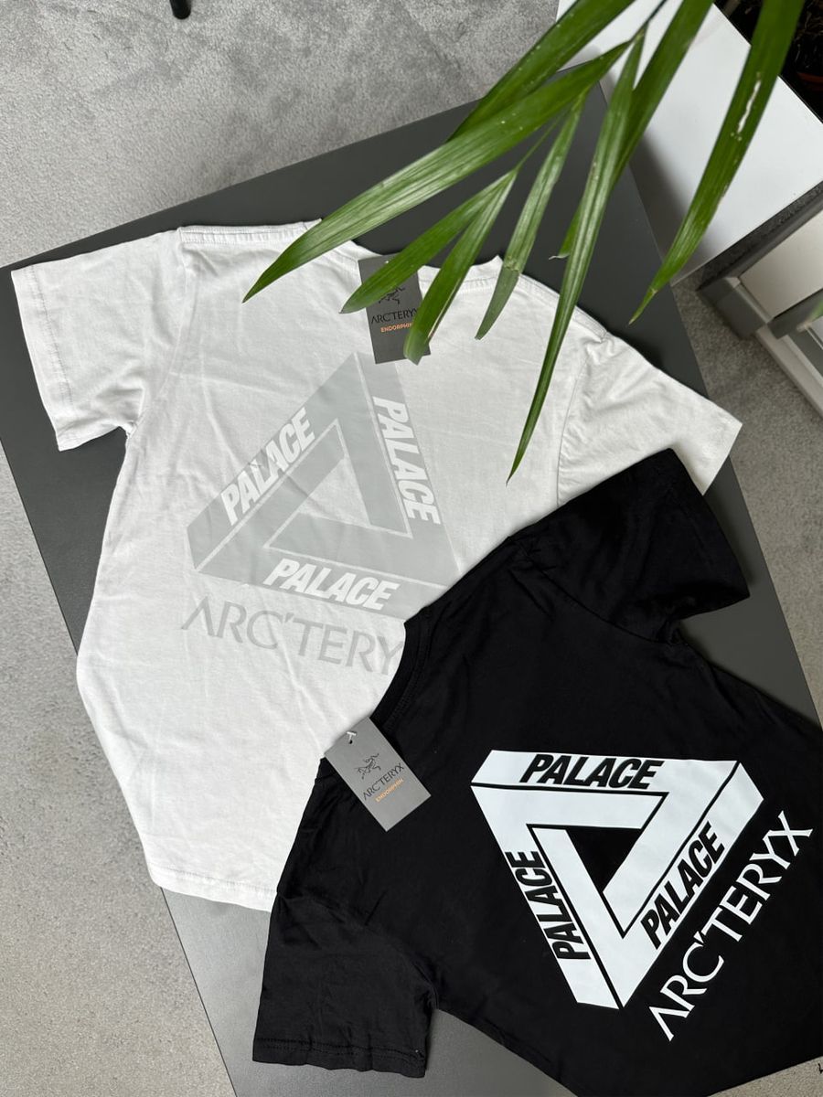 Футболка ARCTERYX x PALACE artxsbndl фото