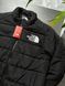 Куртка THE NORTH FACE 700 tnjxsb фото 3