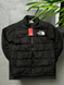 Куртка THE NORTH FACE 700 tnjxsb фото 1
