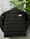 Куртка THE NORTH FACE 700 tnjxsb фото 2