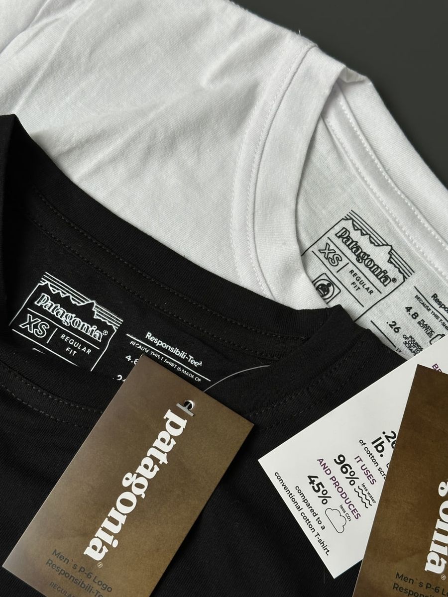 Футболка PATAGONIA Bear pgtxsbb фото